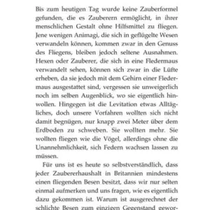 Quidditch im Wandel der Zeiten – Bild 2