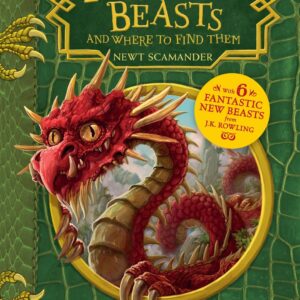 The Hogwarts Library Set – Bild 2