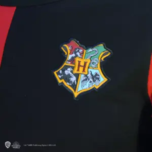 Longsleeve Shirt TT "Harry Potter" – Bild 4