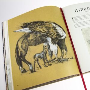 Phantastische Tierwesen - Illustrierte Edition – Bild 5