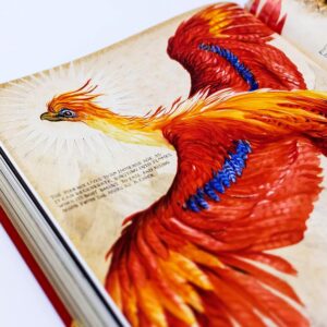 Harry Potter & the Chamber of Secrets - Deluxe Edition – Bild 7