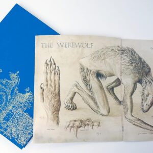 Harry Potter & the Prisoner of Azkaban - Deluxe Edition – Bild 7